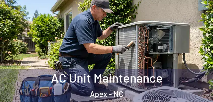  AC Unit Maintenance Apex - NC